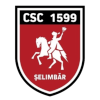 CSC 1599 Selimbar